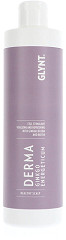  Glynt Derma Ginkgo Energeticum 500&nbsp;ml 