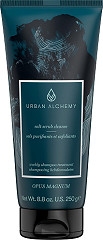  Urban Alchemy Salt Scrub Cleanse Shampoo 250 g 