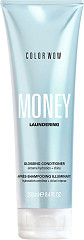 Color WOW Money Laundering Conditioner 250 ml