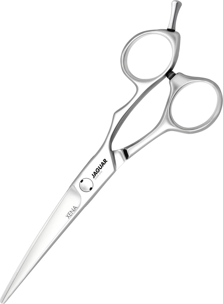  Jaguar Xena 6.0" Silver Line 