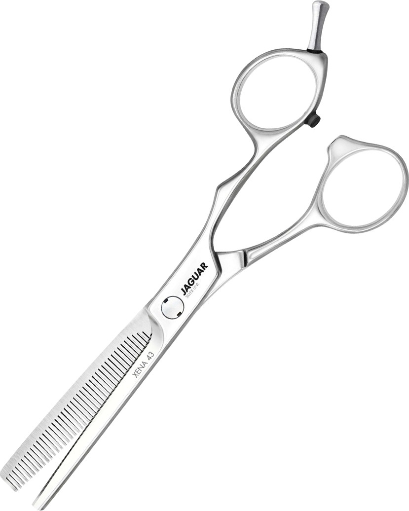  Jaguar Xena 43 6.0" Silver Line 