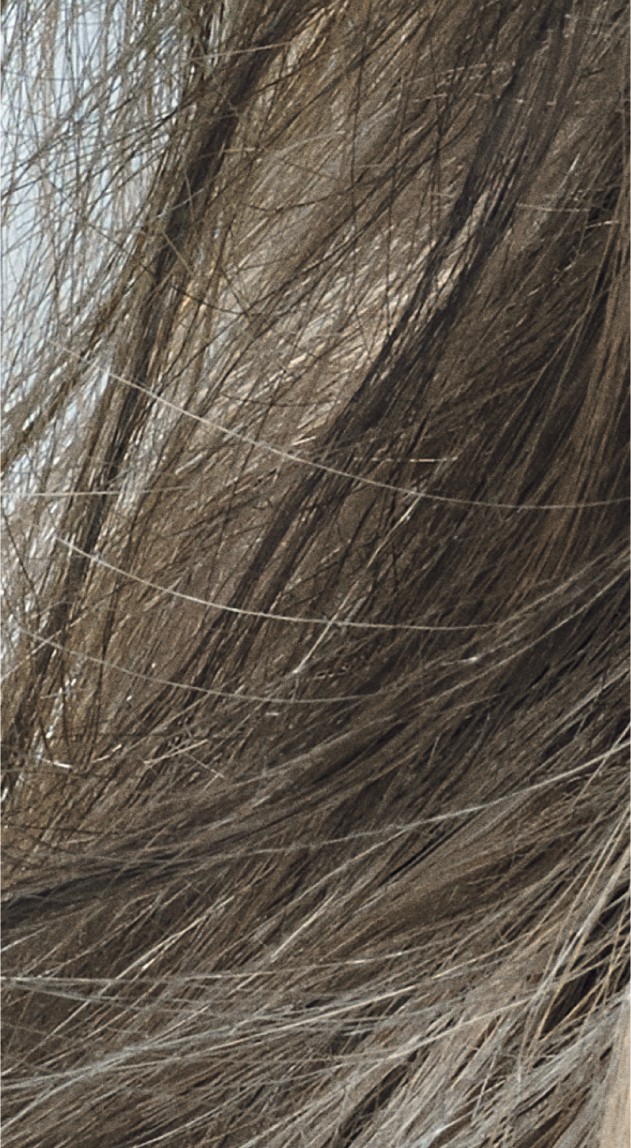  Goldwell Topchic 8CA Cool Asch 60 ml 
