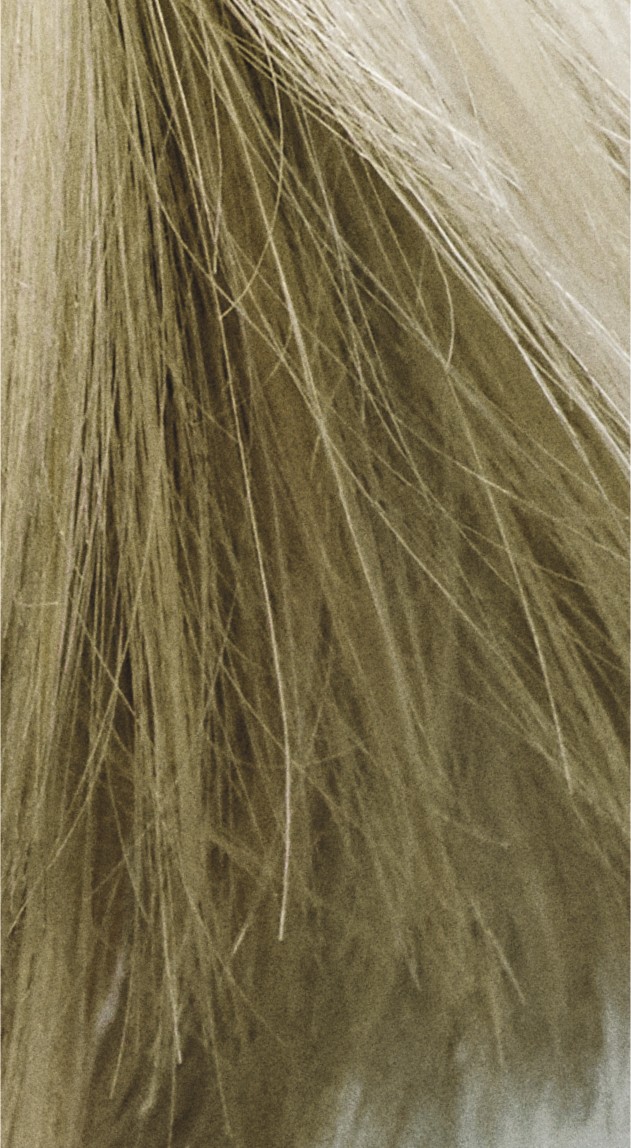  Goldwell Colorance 9MB Jadeblond 